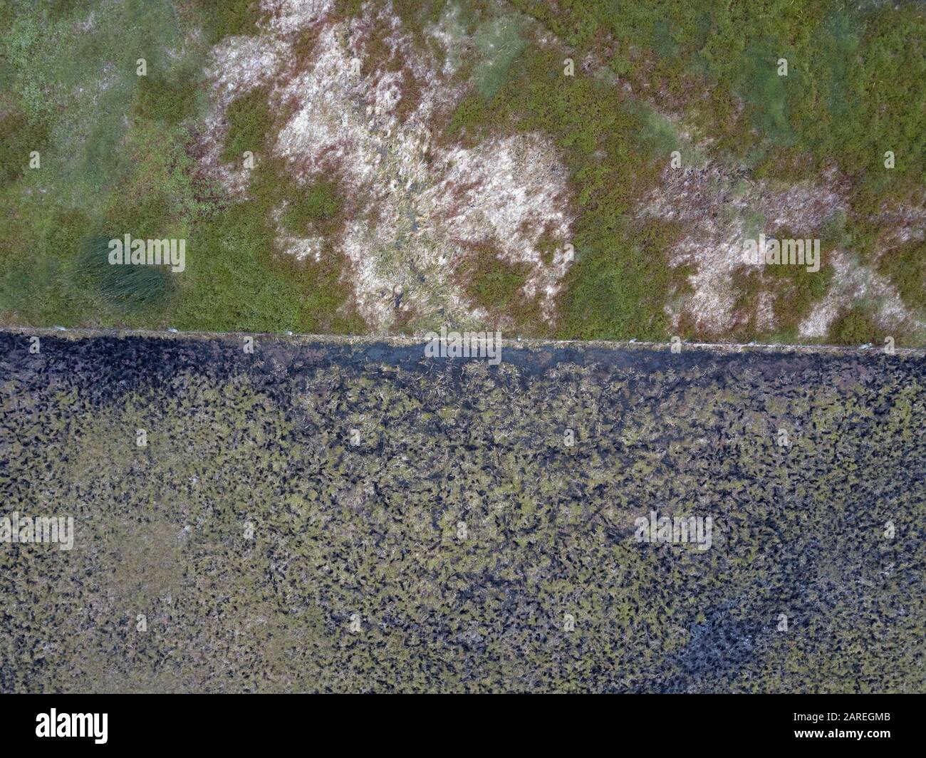 Landschaftsaufnahme mit Kontrastmuster zwischen Weideland und nicht Weideland, Victoria, Australien. Stockfoto