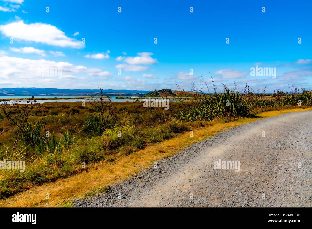 Duder Regional Park, Auckland, Neuseeland Stockfoto
