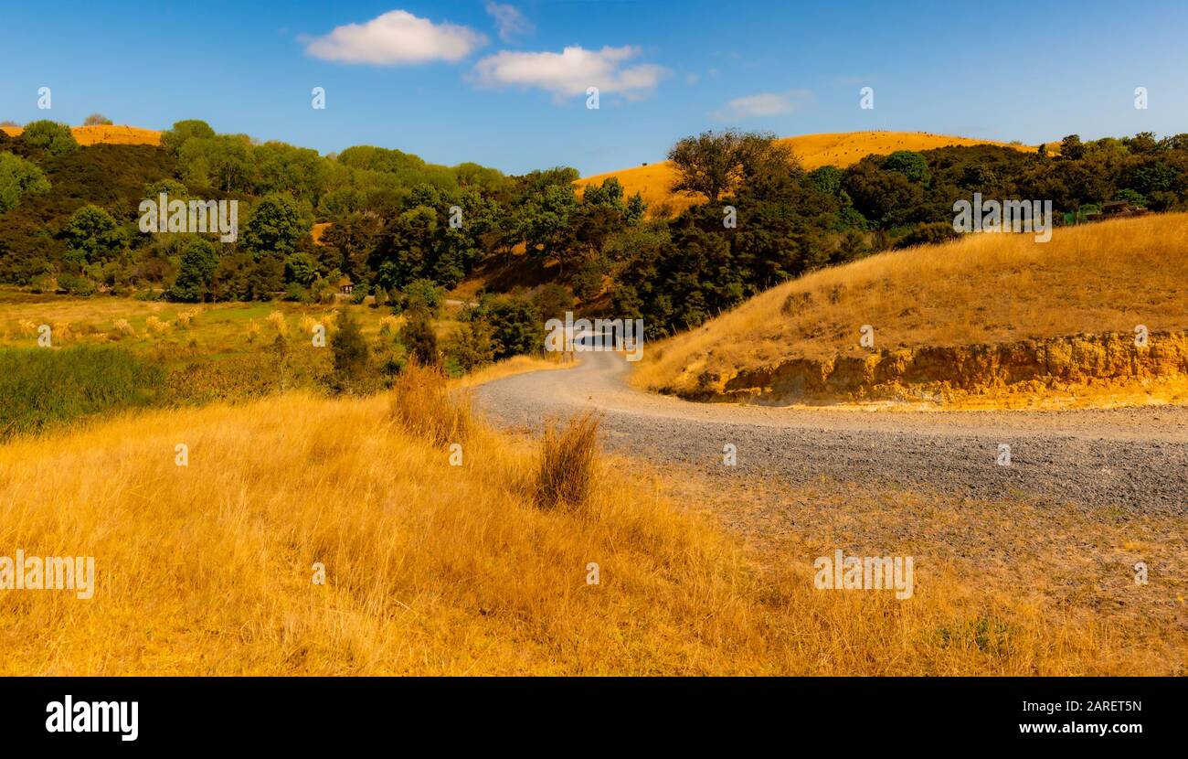 Duder Regional Park, Auckland, Neuseeland Stockfoto