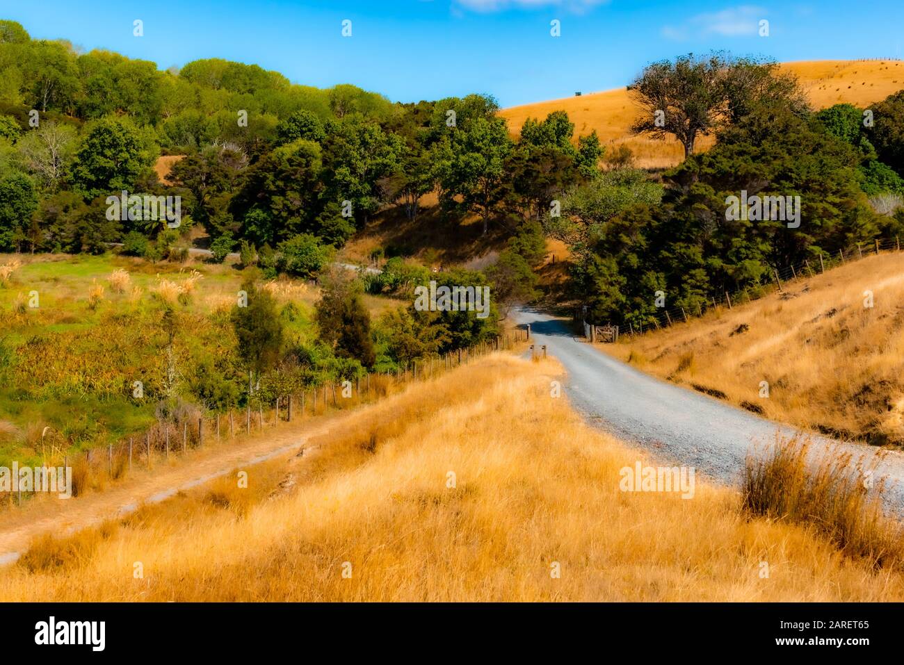 Duder Regional Park, Auckland, Neuseeland Stockfoto