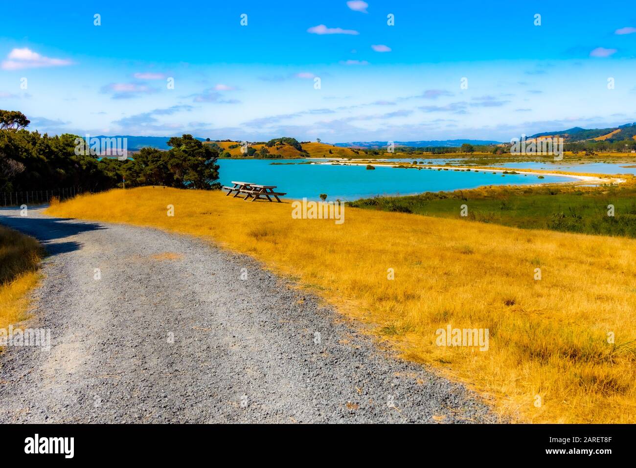 Duder Regional Park, Auckland, Neuseeland Stockfoto