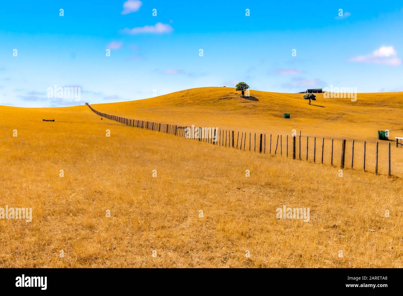 Duder Regional Park, Auckland, Neuseeland Stockfoto