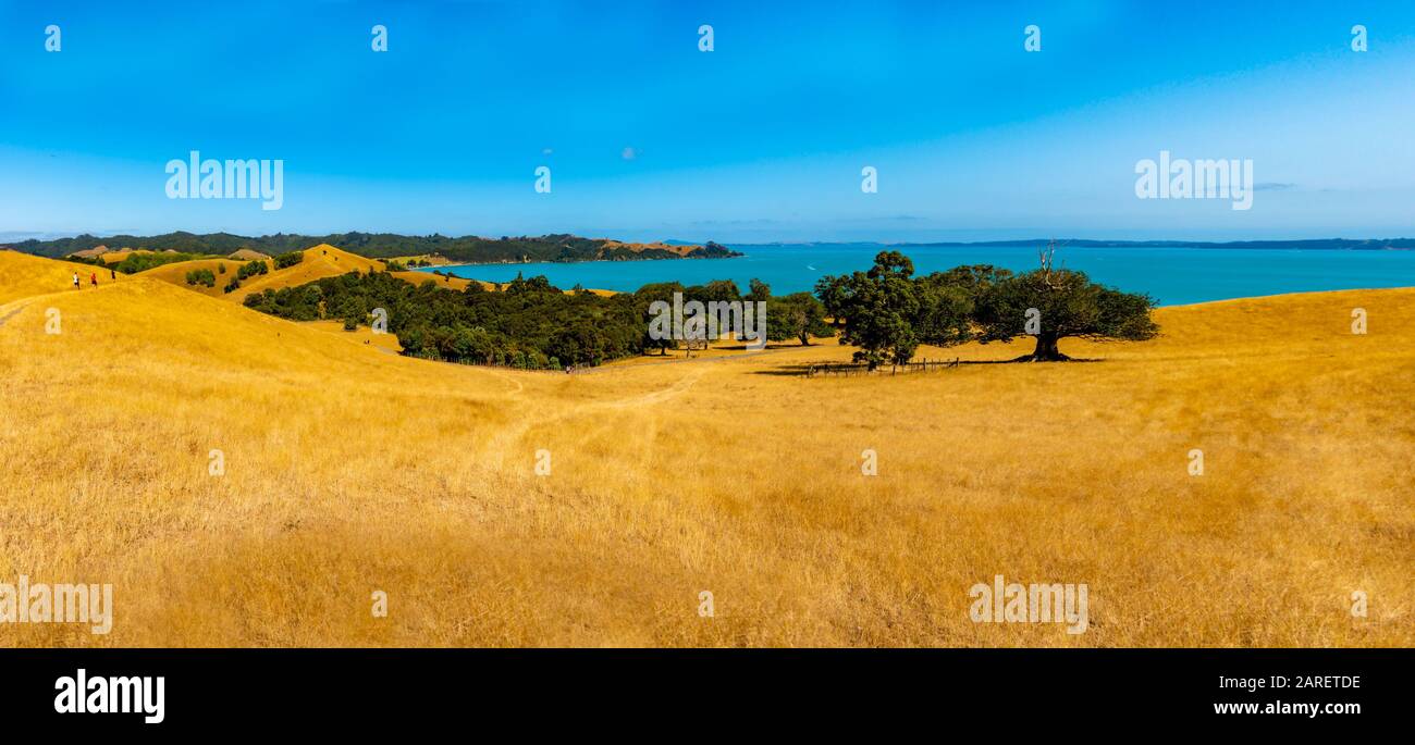 Duder Regional Park, Auckland, Neuseeland Stockfoto
