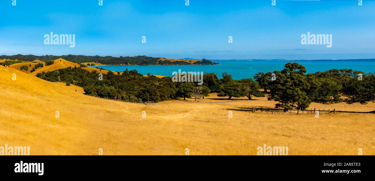 Duder Regional Park, Auckland, Neuseeland Stockfoto