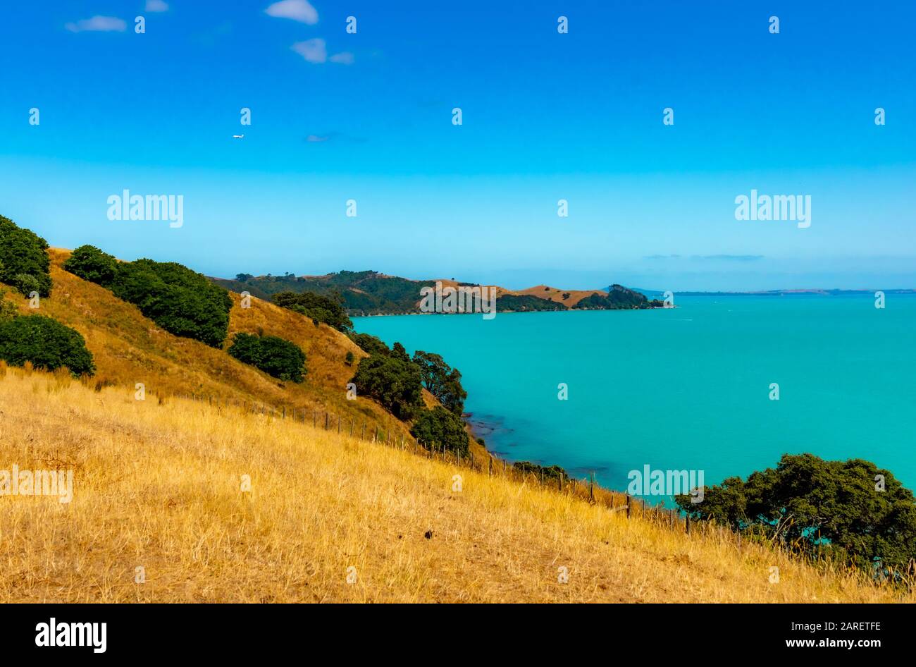 Duder Regional Park, Auckland, Neuseeland Stockfoto
