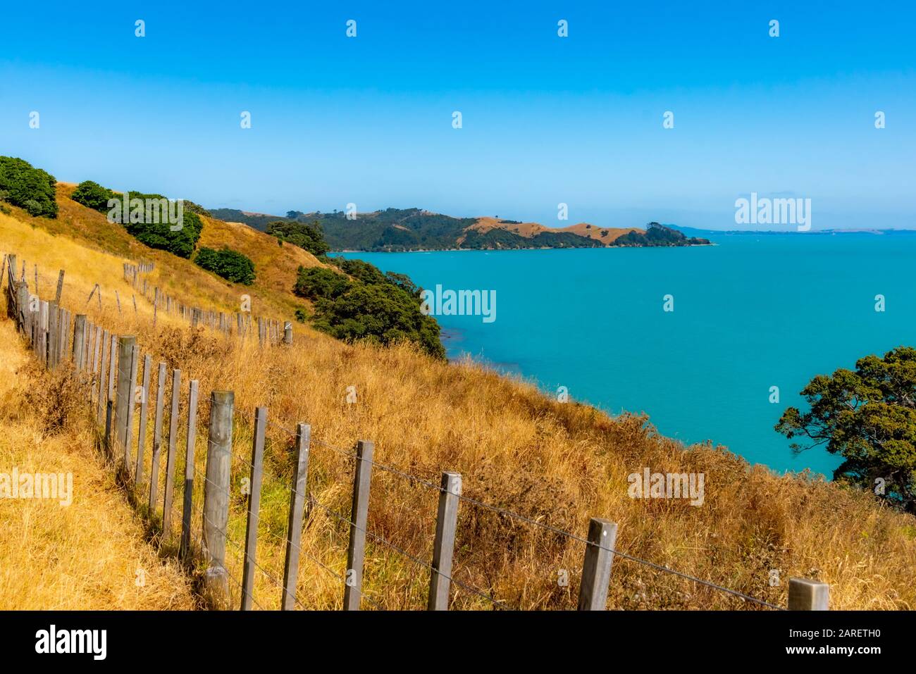 Duder Regional Park, Auckland, Neuseeland Stockfoto
