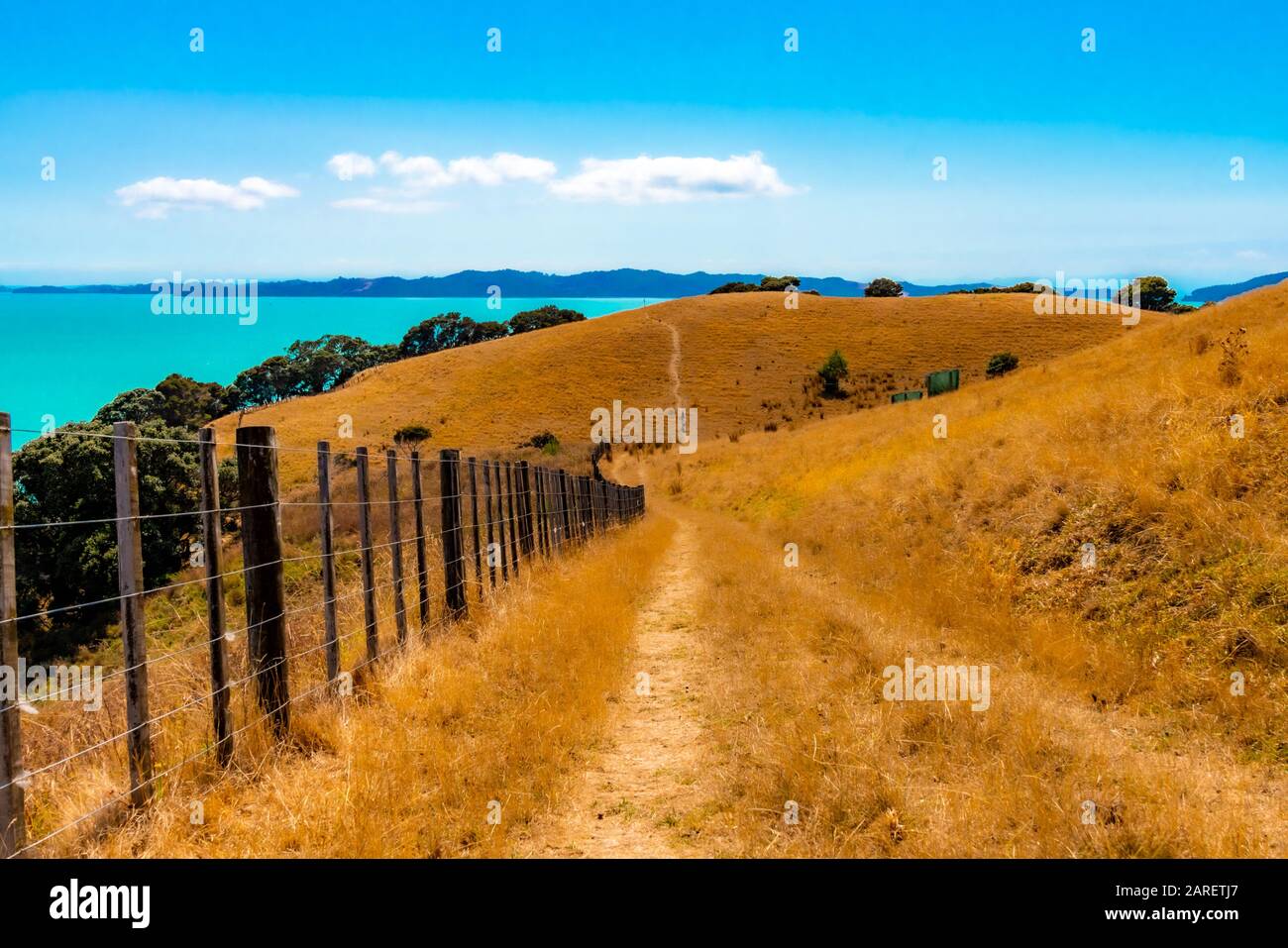 Duder Regional Park, Auckland, Neuseeland Stockfoto