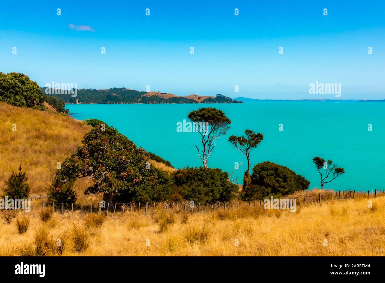 Duder Regional Park, Auckland, Neuseeland Stockfoto