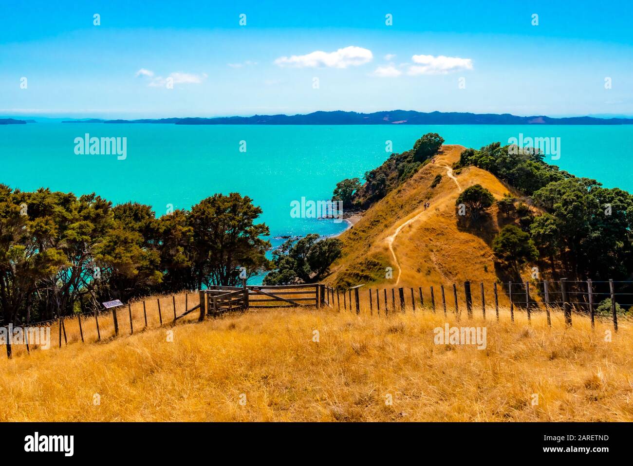 Duder Regional Park, Auckland, Neuseeland Stockfoto