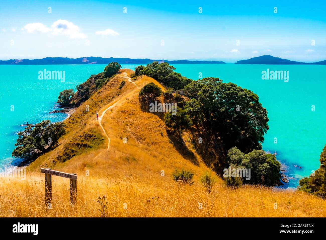 Duder Regional Park, Auckland, Neuseeland Stockfoto