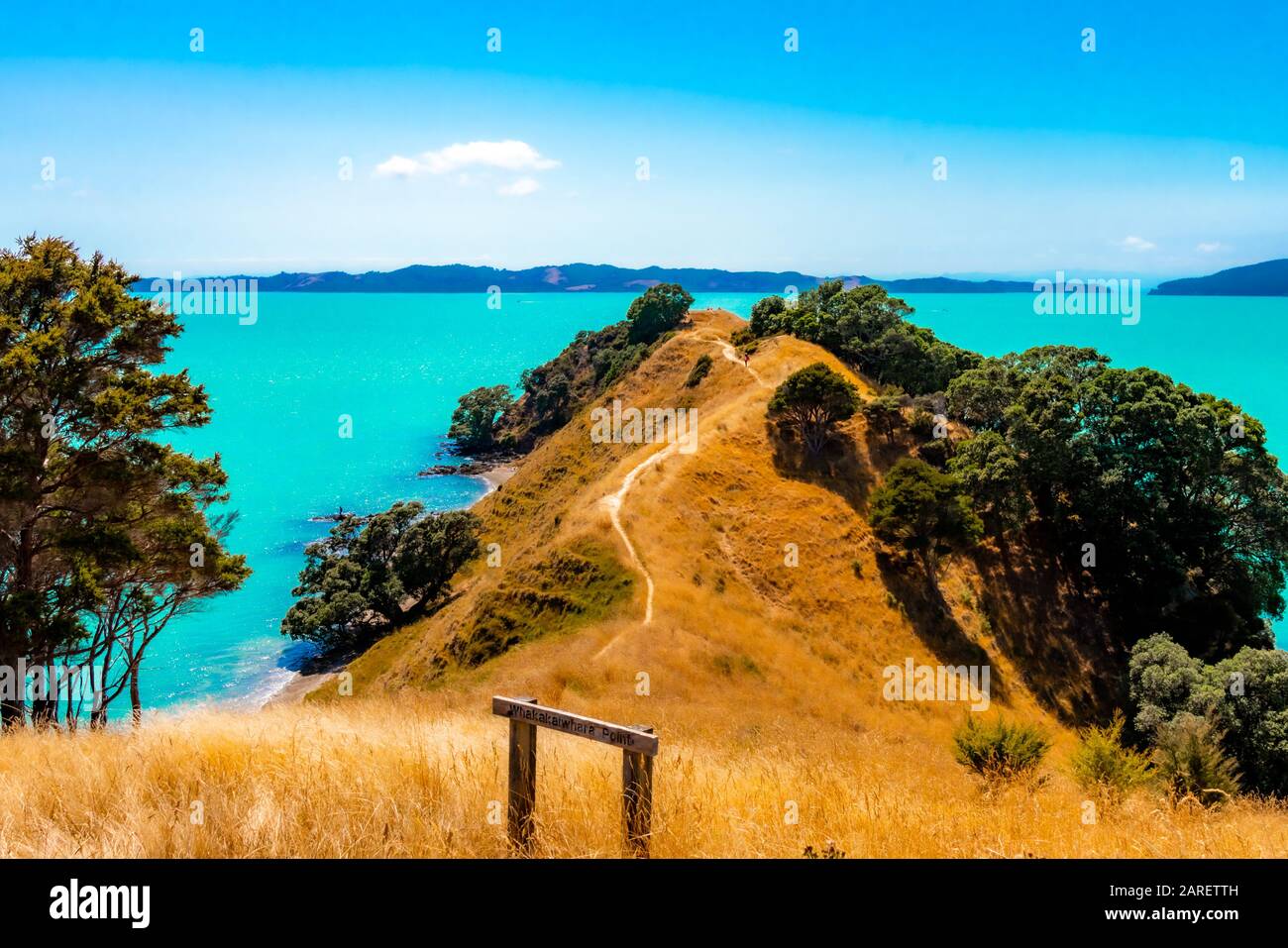 Duder Regional Park, Auckland, Neuseeland Stockfoto