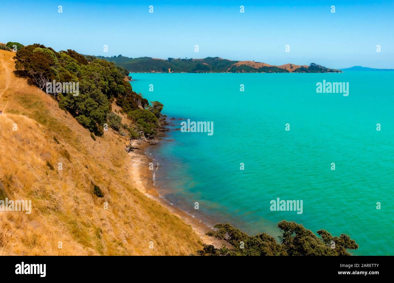 Duder Regional Park, Auckland, Neuseeland Stockfoto