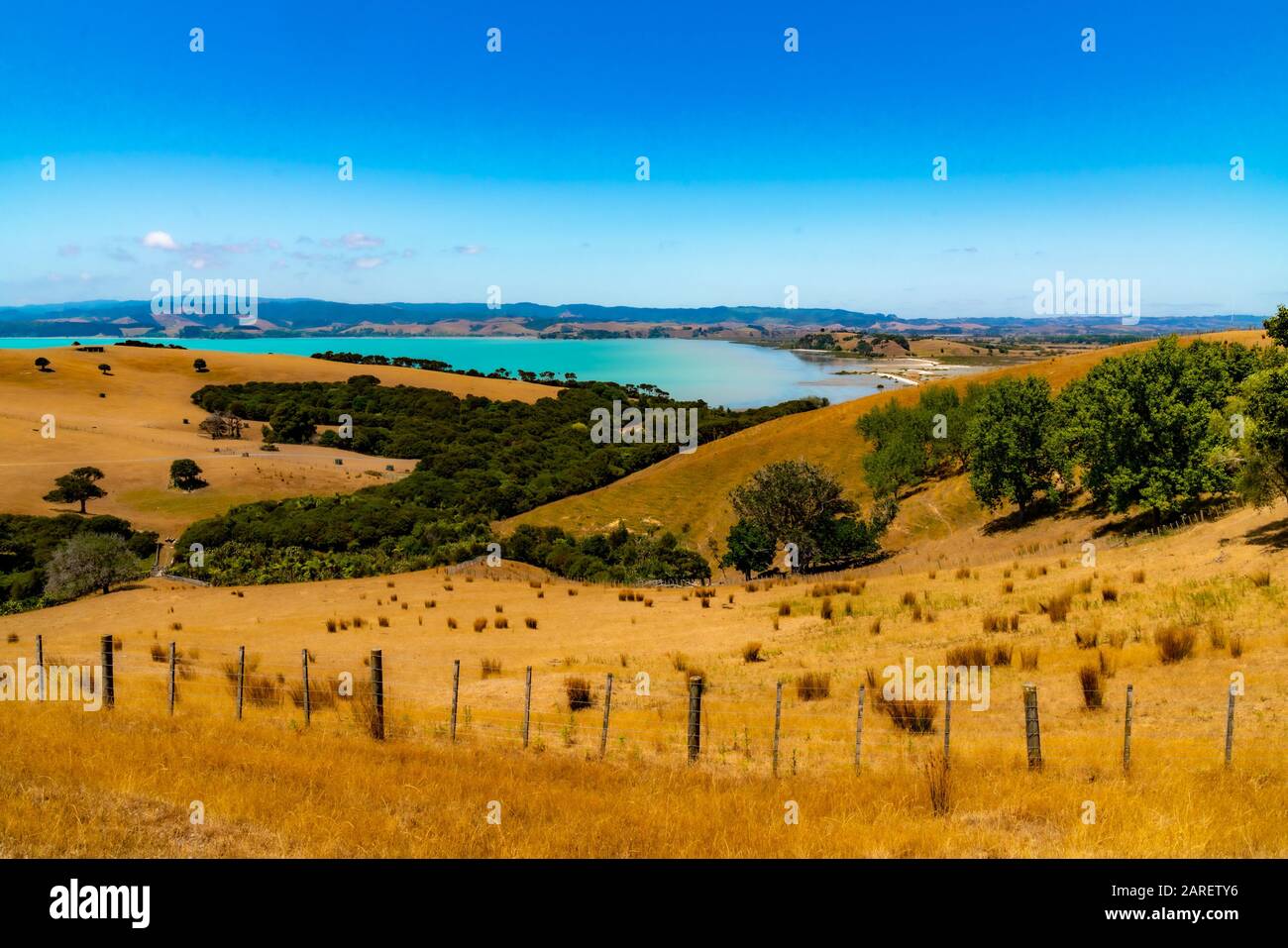 Duder Regional Park, Auckland, Neuseeland Stockfoto