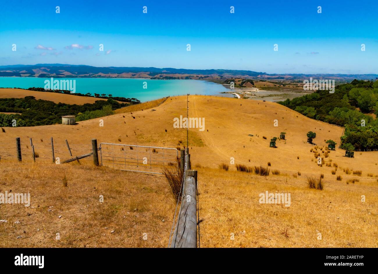 Duder Regional Park, Auckland, Neuseeland Stockfoto