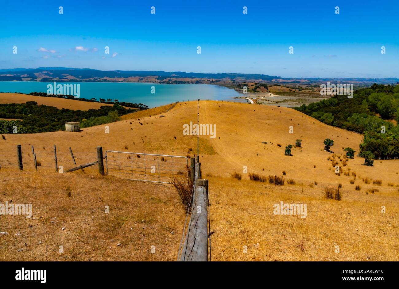 Duder Regional Park, Auckland, Neuseeland Stockfoto