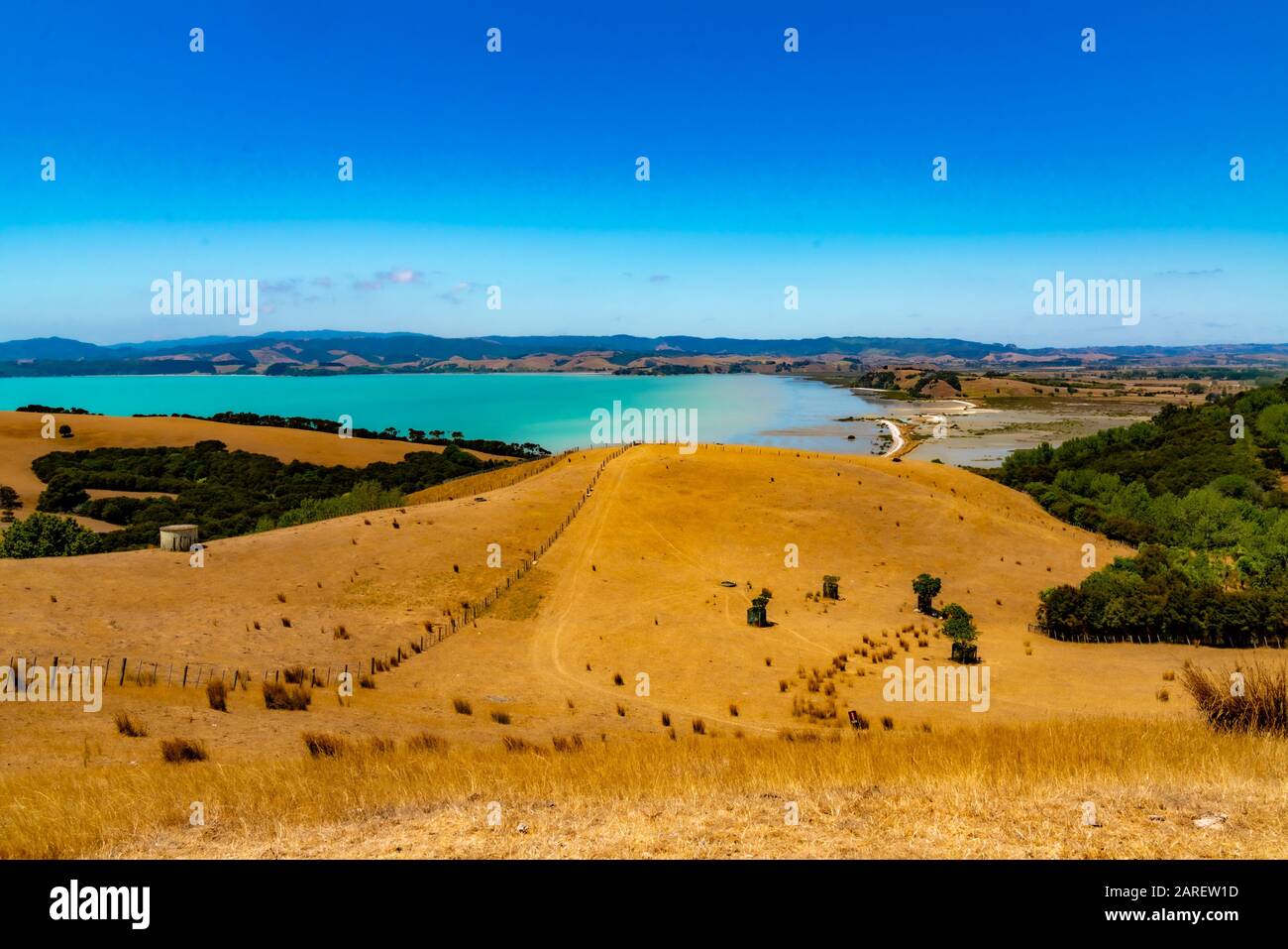 Duder Regional Park, Auckland, Neuseeland Stockfoto