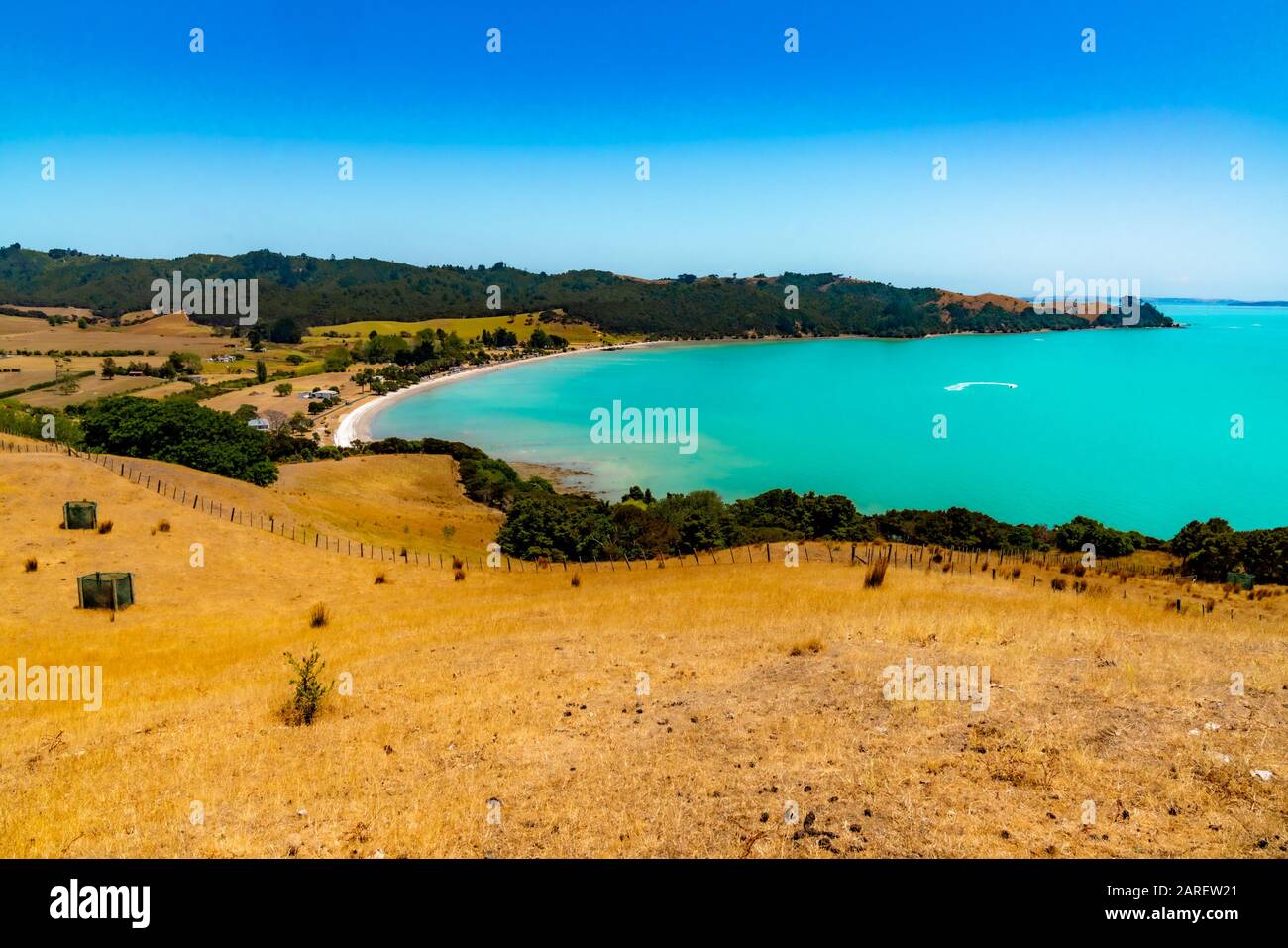 Duder Regional Park, Auckland, Neuseeland Stockfoto