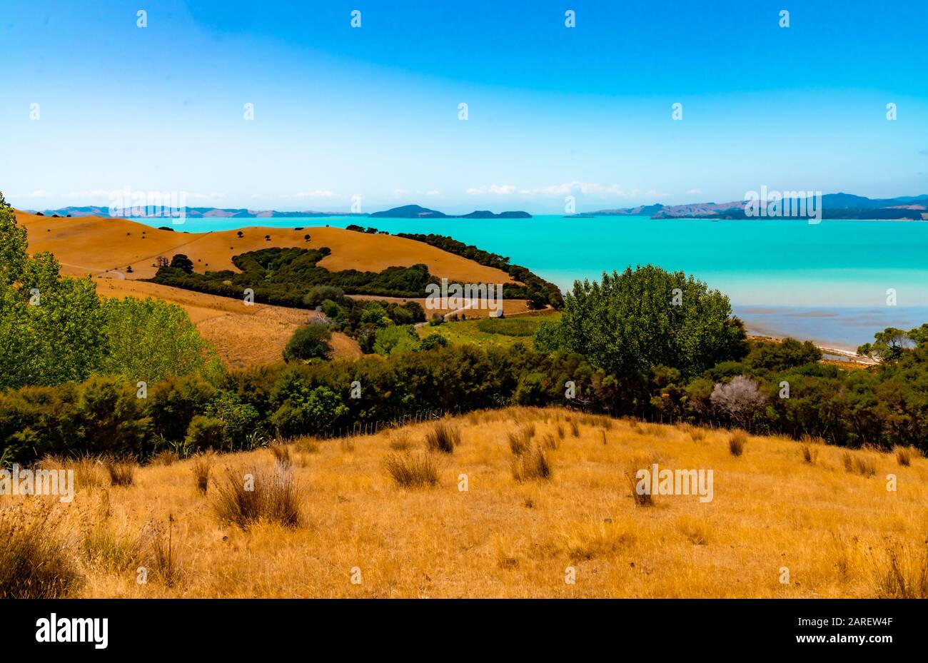 Duder Regional Park, Auckland, Neuseeland Stockfoto