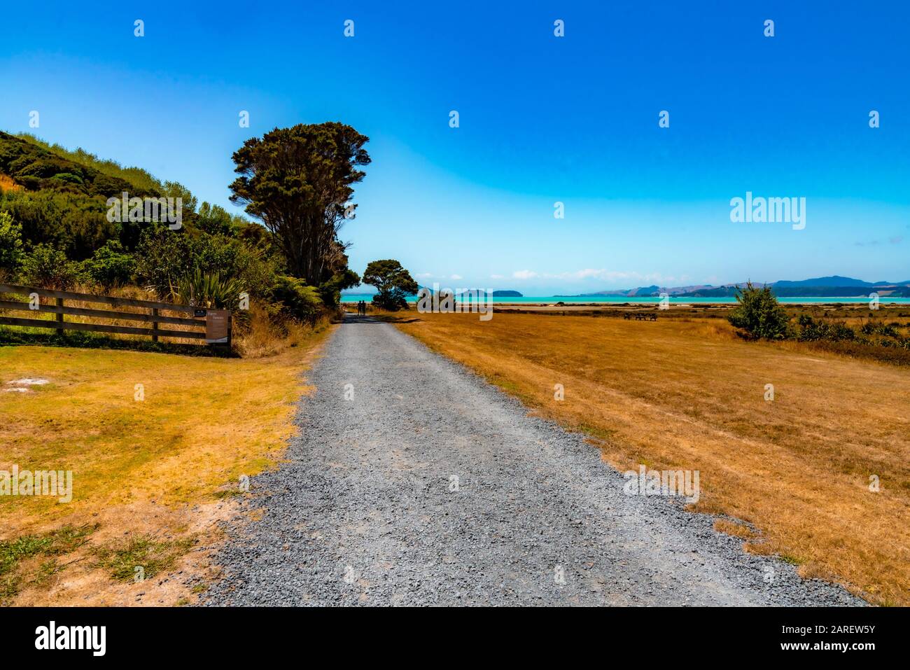 Duder Regional Park, Auckland, Neuseeland Stockfoto