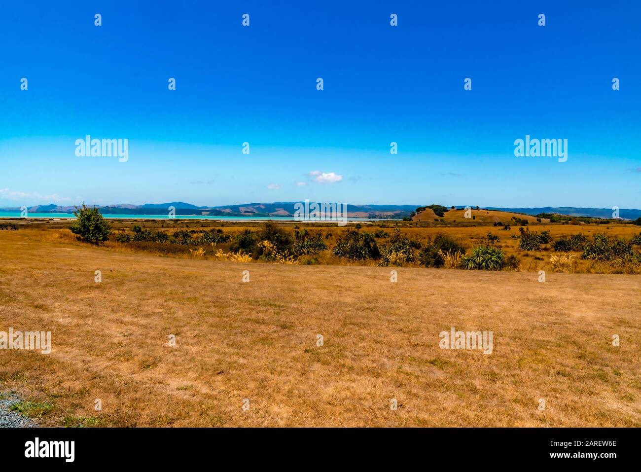 Duder Regional Park, Auckland, Neuseeland Stockfoto