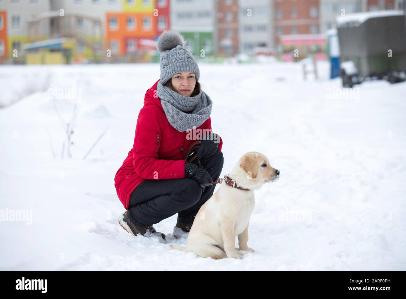 Besitzer und Labrador Hund gehen in der Stadt auf unfokussierten Hintergrund. Stockfoto