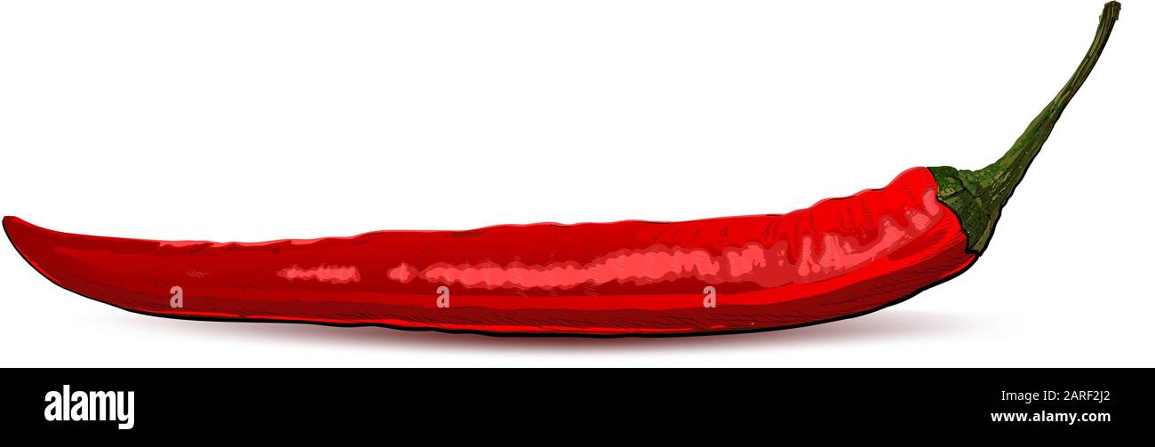 Vektorbild Stock Vektor