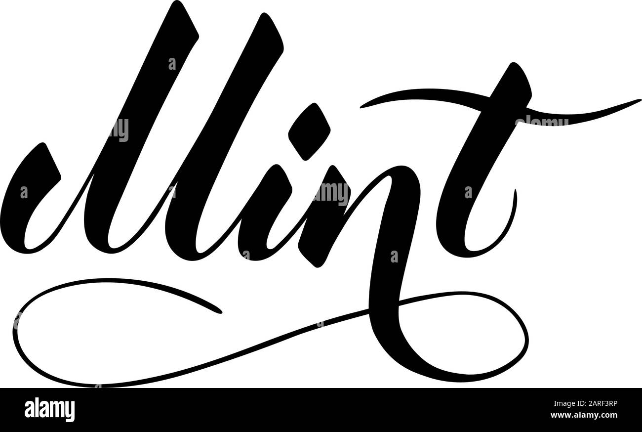 Vector handgeschriebener Minztext isoliert auf weißem Hintergrund. Küche gesunde Kräuter und Gewürze zum Kochen. Schrift mit Pinselschrift mit Aufblühen. H Stock Vektor
