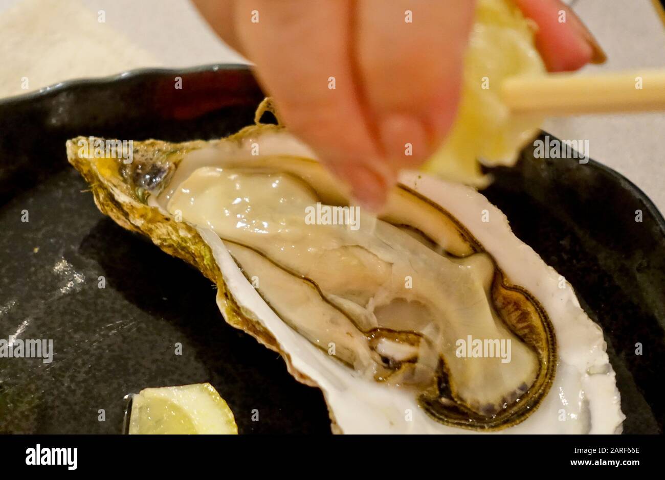 Austern ist ein Muscheln wie Schalentiere. Es ist schlank-aber schmackhaft, dass Briny Morsels überall Delikatessen sind. Hokkaidos Austern gehören zu den besten. Stockfoto