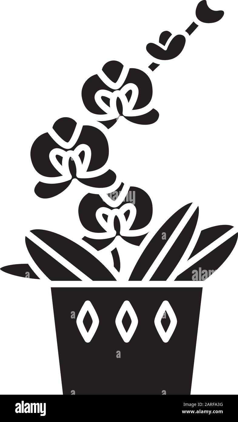 Mottenorchid schwarze Glyphe. Orchidaceen. Phalaenopsis Blume. Elegante Innenanlage mit rosafarbenen Blumen. Dekorative blühende Zimmerpflanze. Silhouetten-Symb Stock Vektor