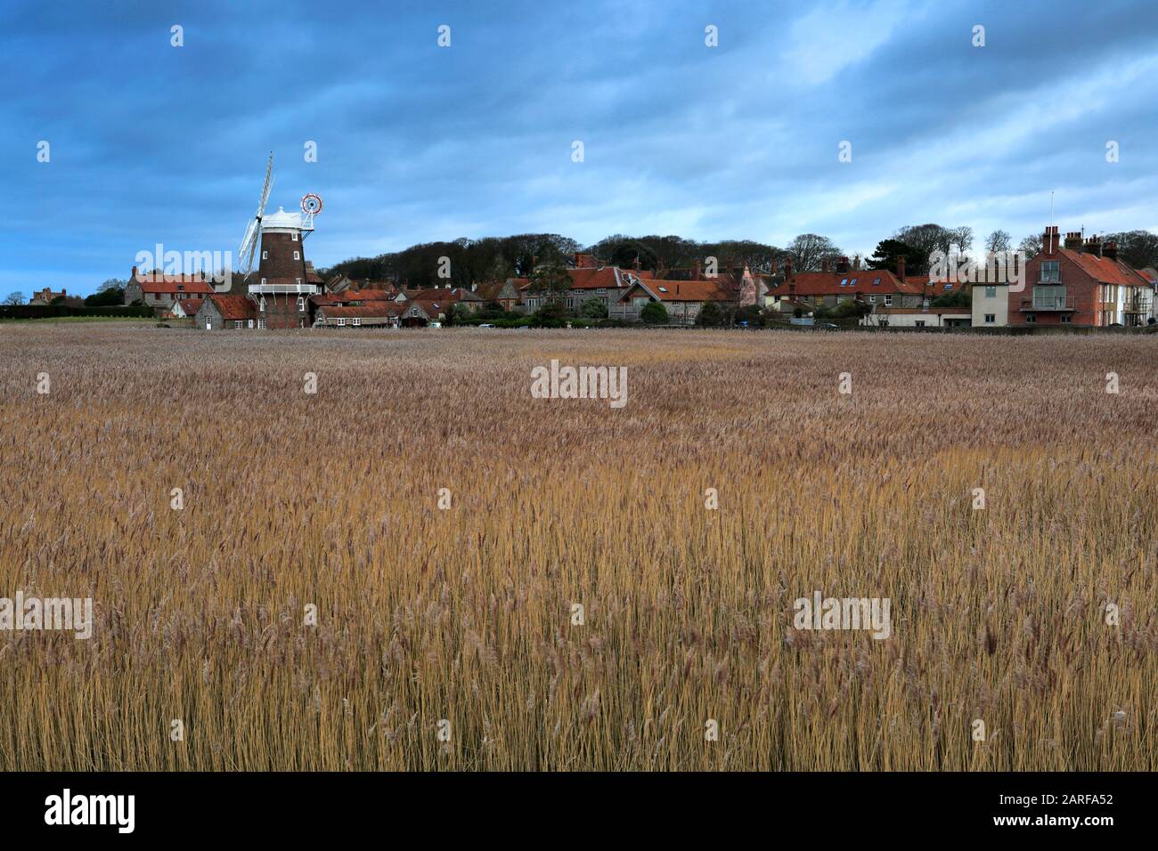 Blick auf den Sonnenuntergang über Schilfbeeten nach Cley Windmill, Cley-next-the-Sea Village, North Norfolk Coast, England Stockfoto