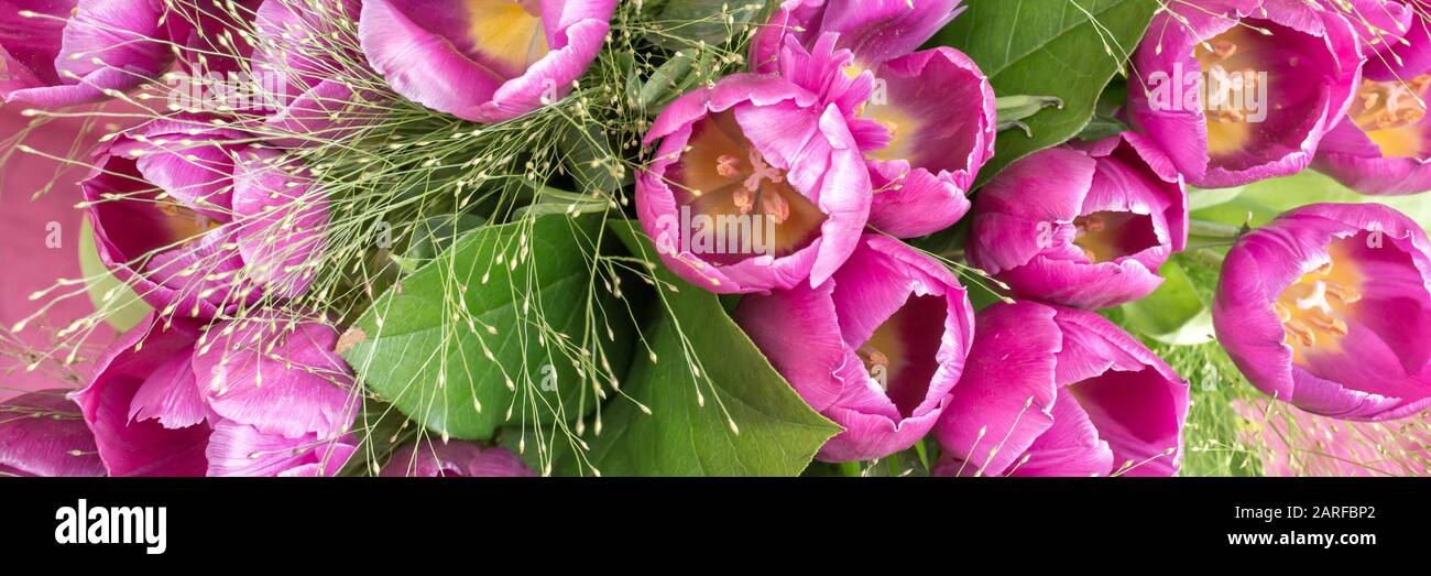 Nahaufnahme eines rosafarbenen Tulpenbündels von oben Stockfoto