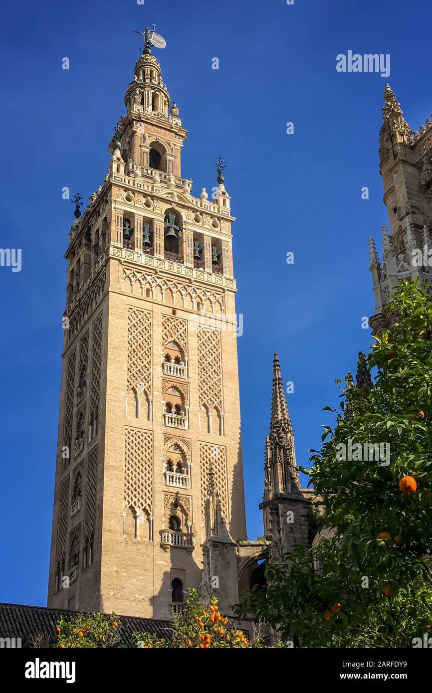 Die Giralda, Glockenturm der Kathedrale von Sevilla, Andalusien, Spanien Stockfoto