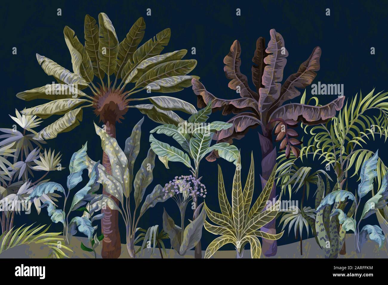 Grenze zu Dschungelbäumen, Palmen, Bananen und anderen. Stock Vektor