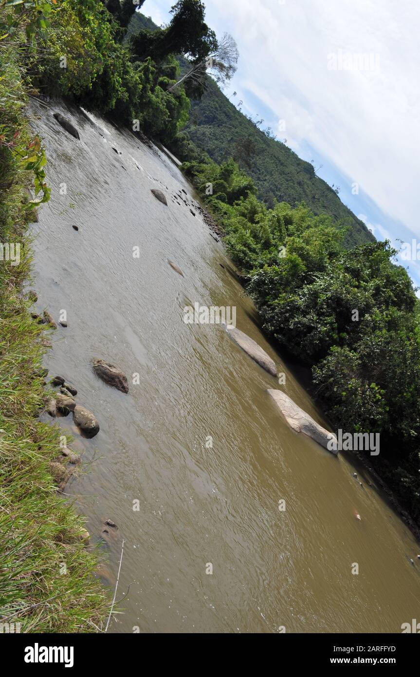 Miri, Sarawak/Malaysia - 7. Oktober 2019: Die Reforestationsprojekte von Lana und Paong in der Region Central Sarawak. Themen sind Kinderzimmer, log Stockfoto