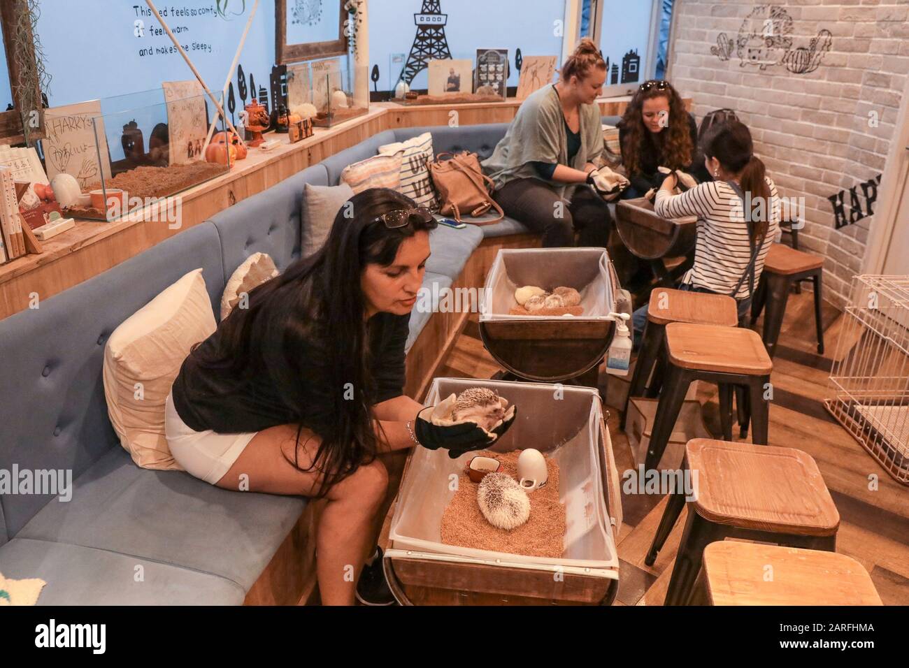 IGEL CAFÉ Stockfoto