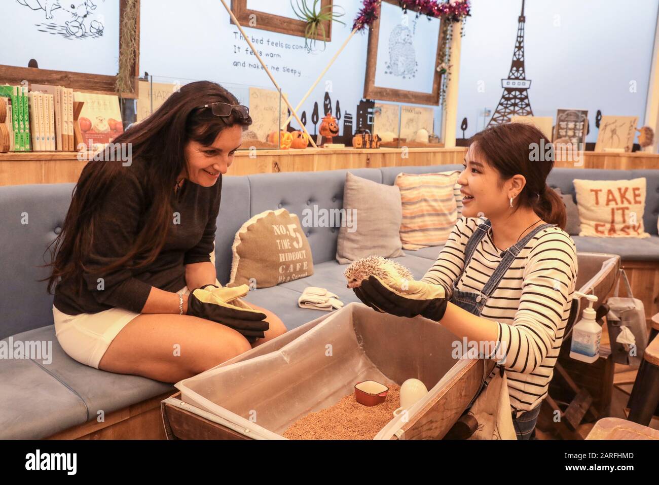 IGEL CAFÉ Stockfoto