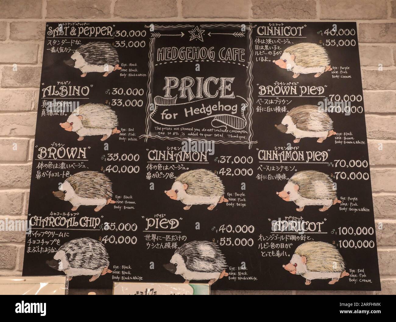 IGEL CAFÉ Stockfoto