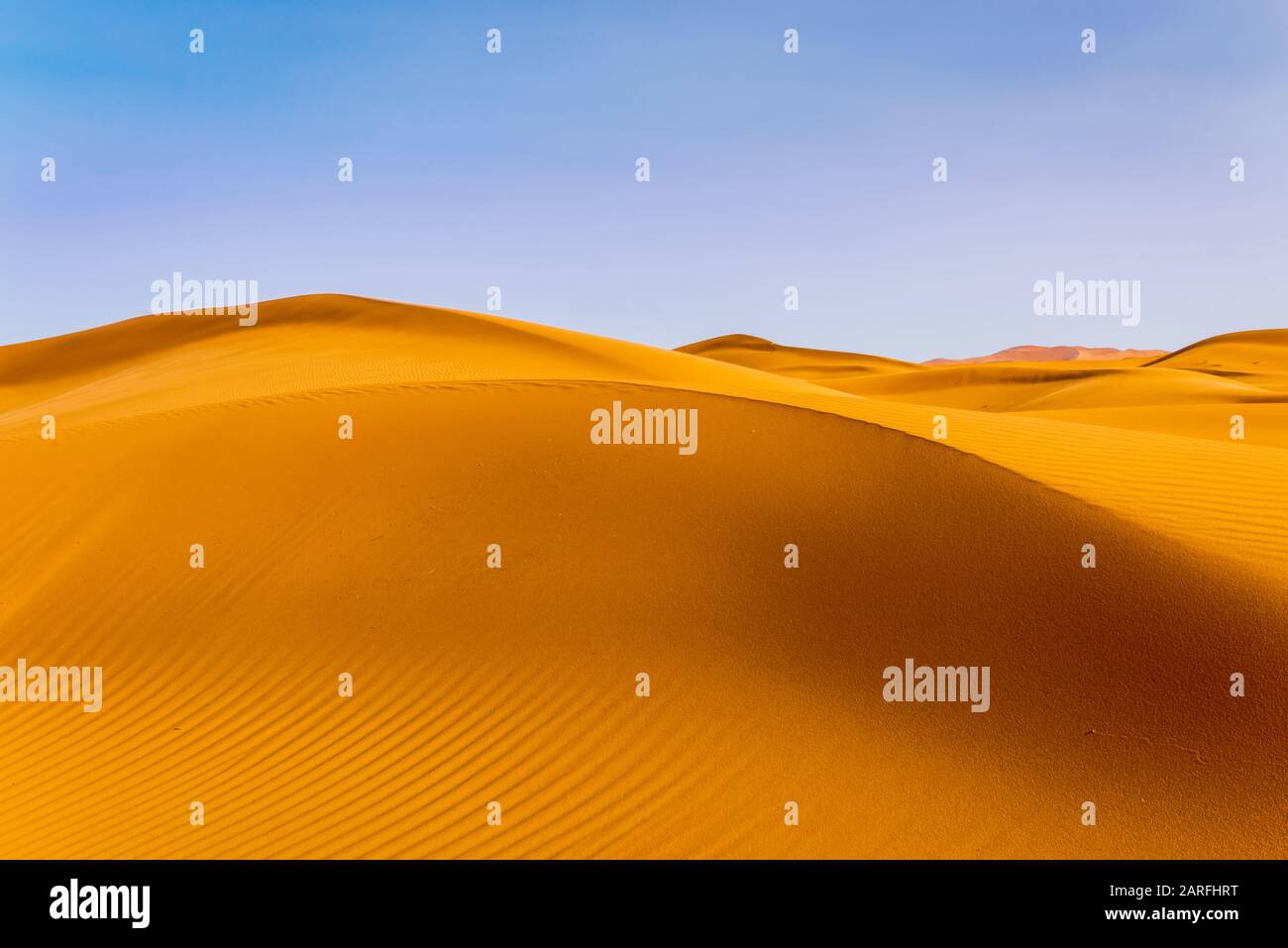 Gold trockenen Wüstenlandschaft am Sinai, Ägypten Stockfoto