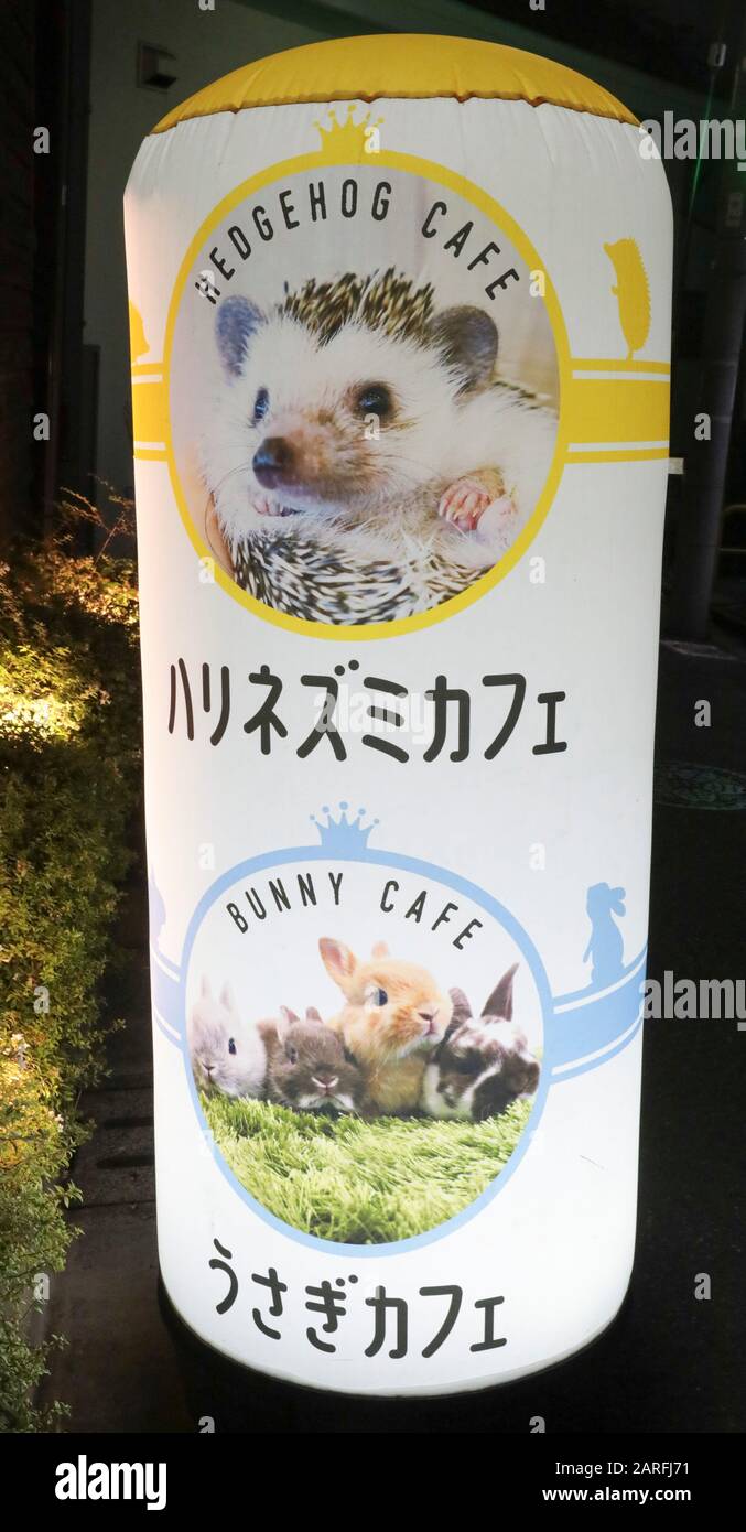 KANINCHENCAFÉ, TOKIO Stockfoto