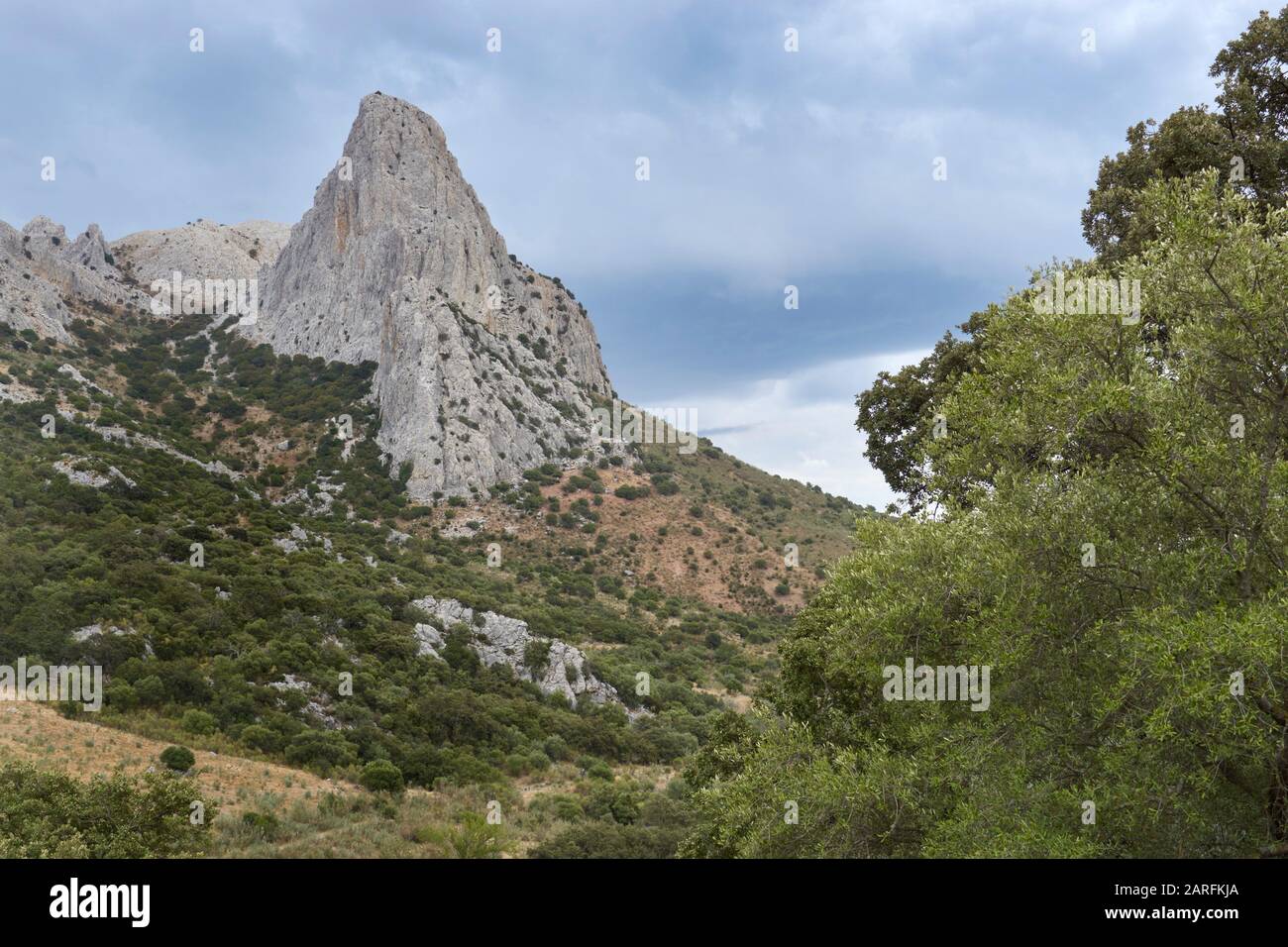 Naturstandort Tajo de Gomer in Riogordo in der Axarquia an der Costa del Sol in Málaga. Stockfoto