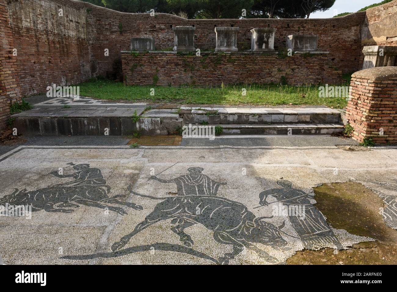 Rom. Italien. Ostia Antica. Caserma dei Vigili (Kaserne der Feuerwehr). Mosaik, das einen Stier darstellt, der zum Opfer im Pronaos (Vestibül Stockfoto