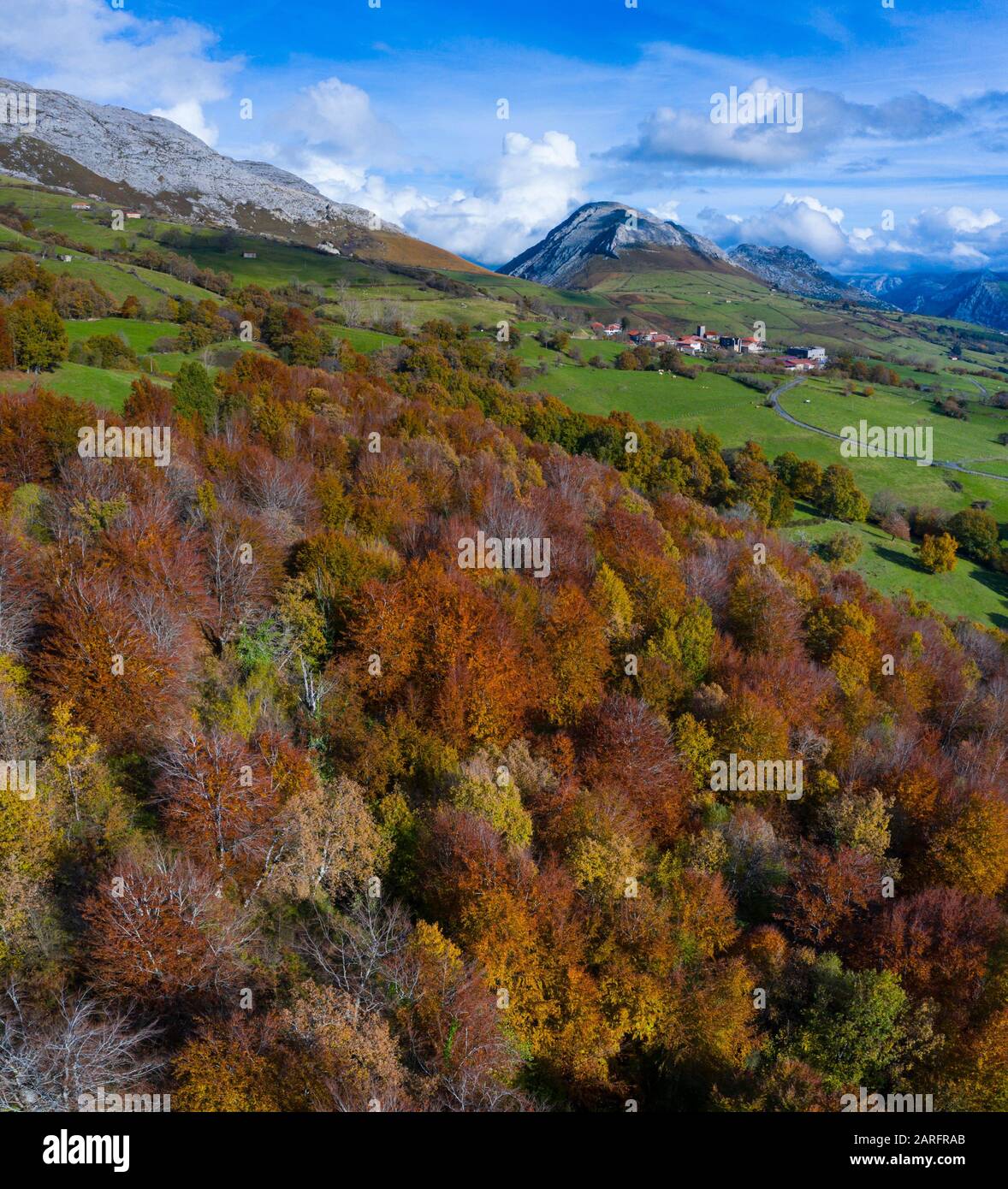 Luftbild des Beechwaldes im Wald von Irias, San Pedro de Soba, Soba-Tal, Valles Pasiegos, Alto Ason, Kantabrien, Spanien, Europa. Stockfoto