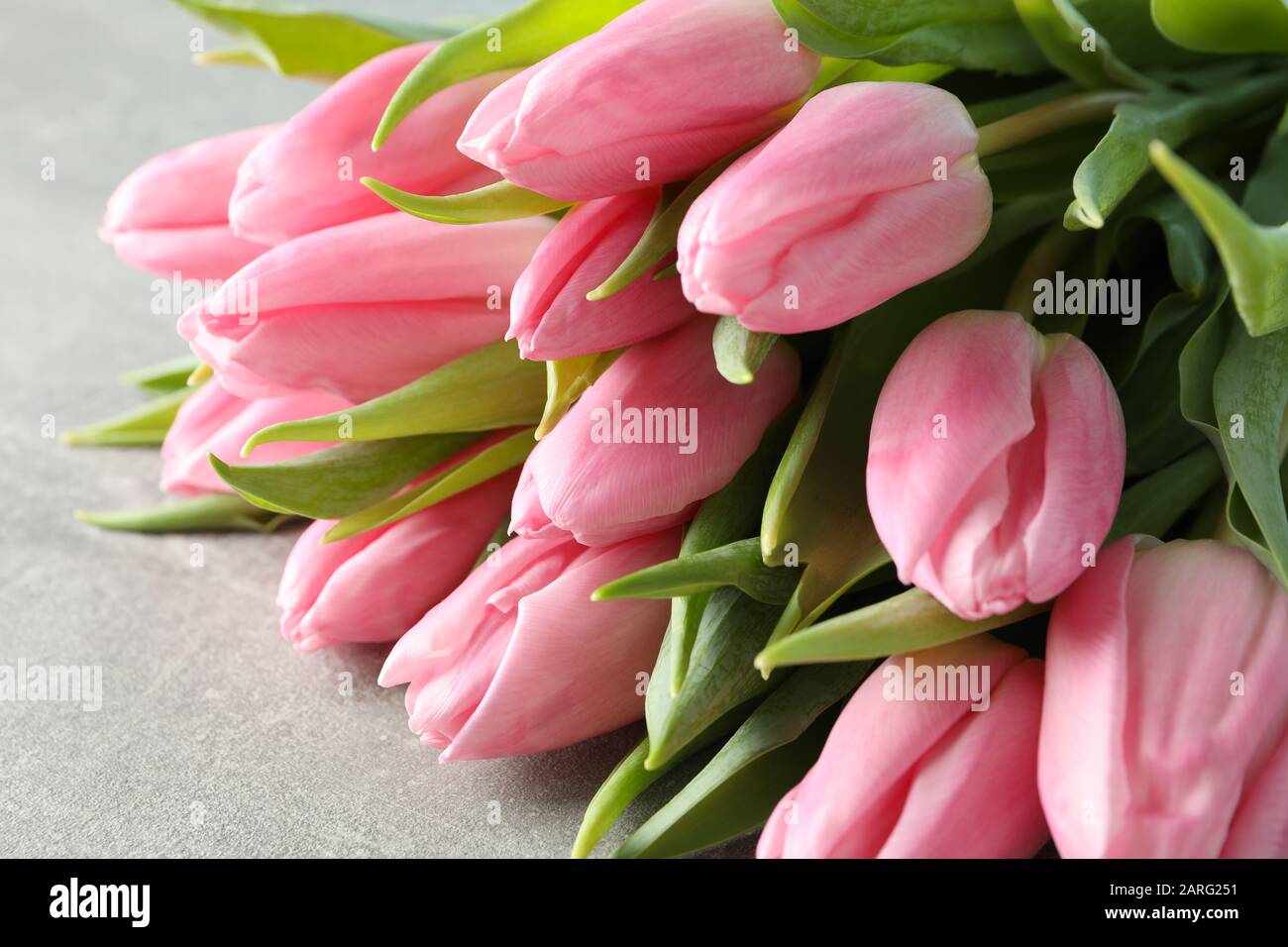 Blumenstrauß aus rosafarbenen Tulpen auf grauem Hintergrund, Nahaufnahme Stockfoto