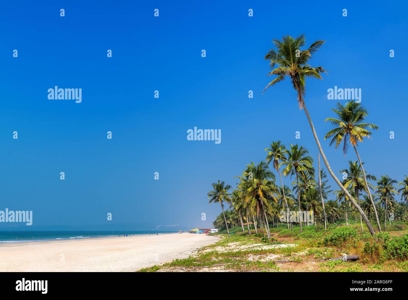 Exotischer tropischer Strand in GOA Stockfoto