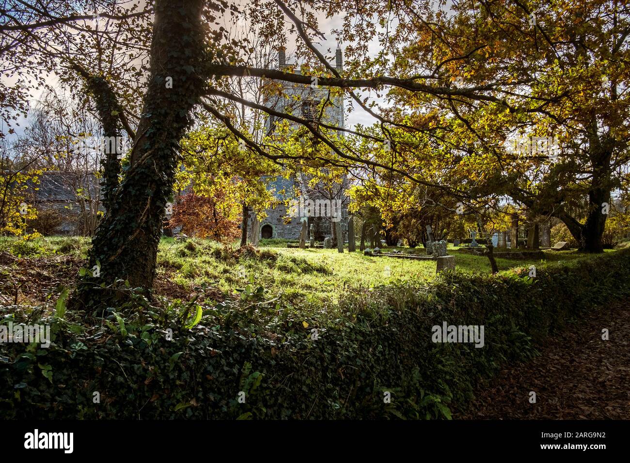 Bäume auf dem Friedhof der Colan Church in Newquay in Cornwall. Stockfoto