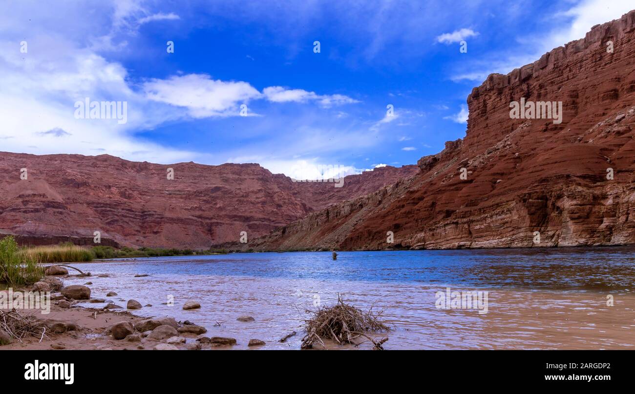 Einzelgänger Fliegen Auf dem Fluss Colorado bei Lees Ferry, Arizona, Angeln  Stockfotografie - Alamy