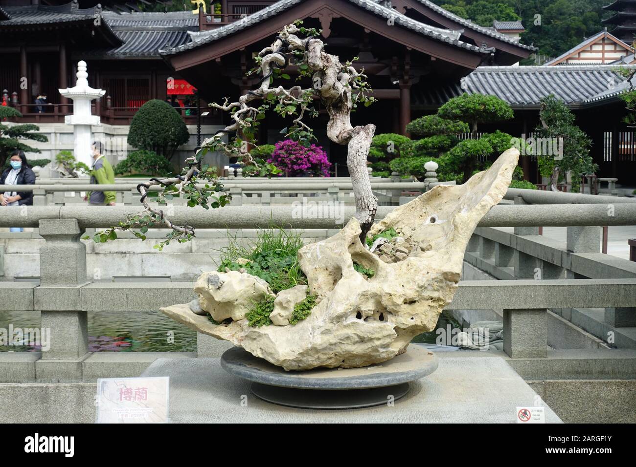 Hongkong - 27. Januar 2020: Chi Lin Nonnenkloster, ein großer buddhistischer Tempelkomplex in Diamond Hill, Kowloon Stockfoto