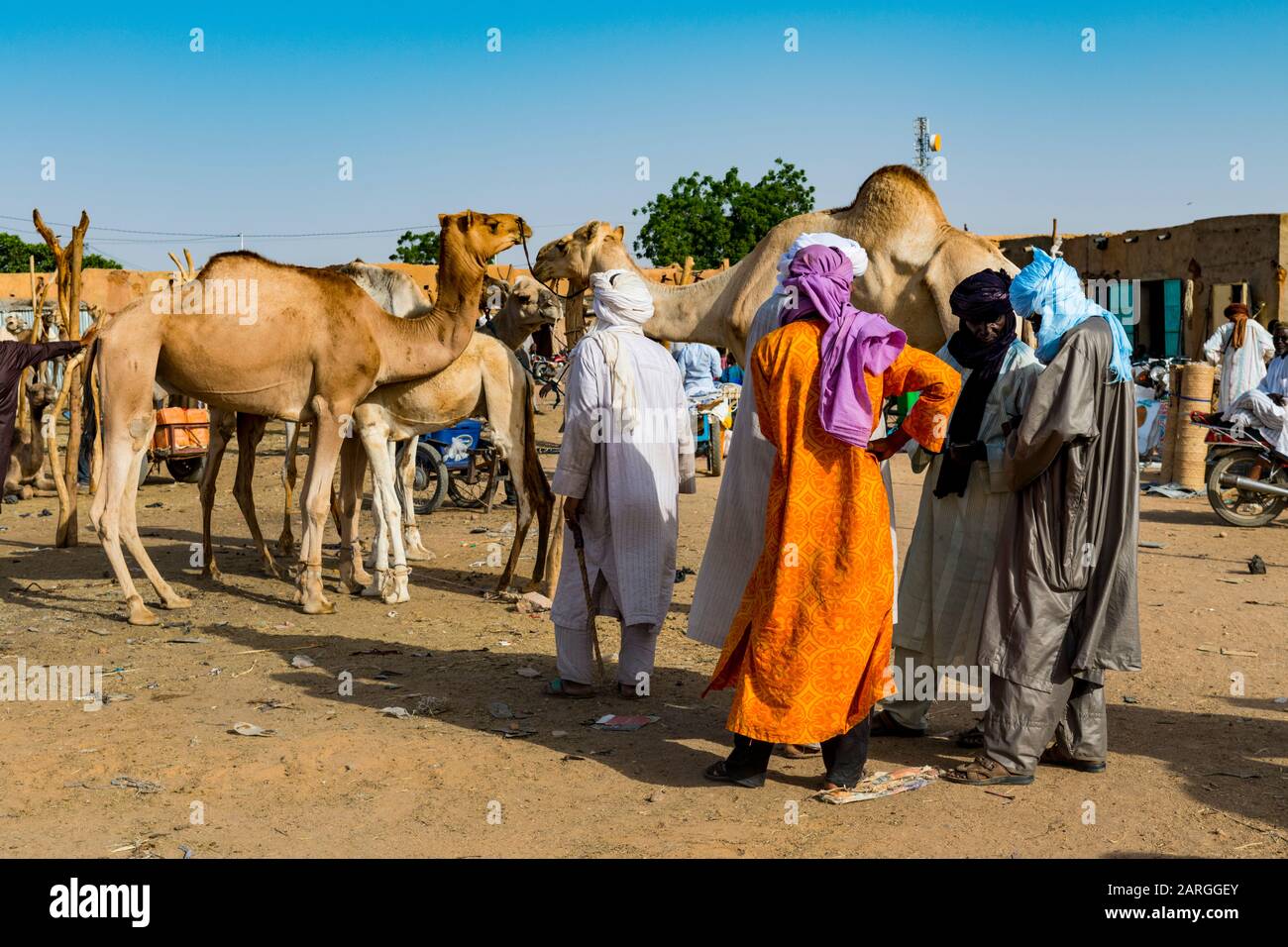 Tuaregs auf dem Tiermarkt, Agadez, Niger, Westafrika, Afrika Stockfoto