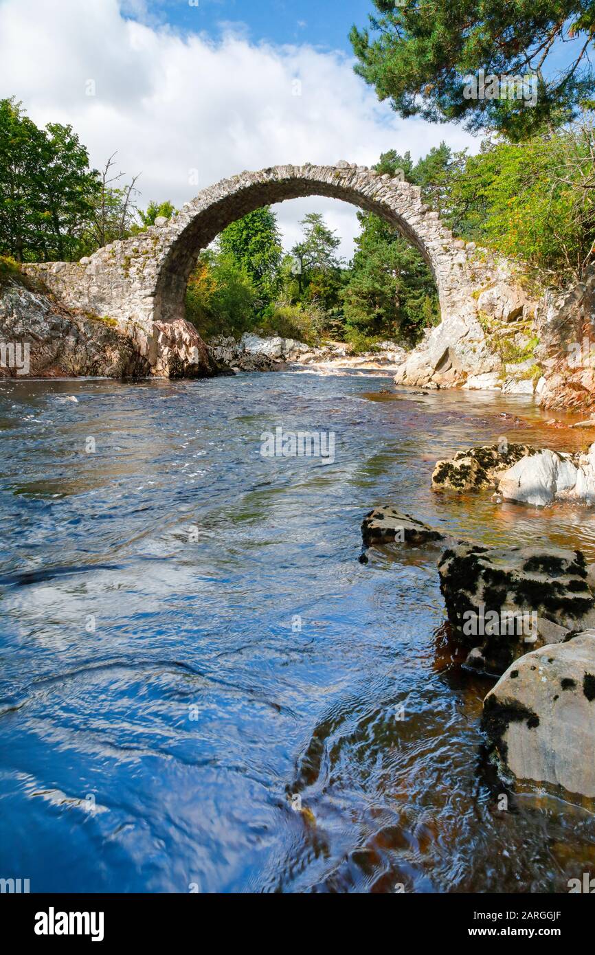 Carrbridge, älteste Steinbrücke in den Highlands, Schottland, Großbritannien, Europa Stockfoto