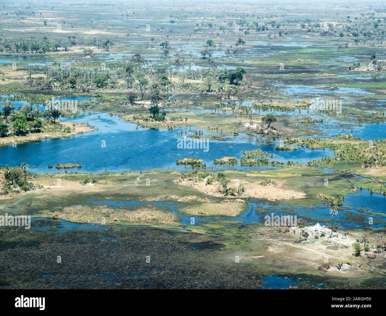 Luftbild des Okavango-Deltas bei Dürrebedingungen im Frühfall, Botswana, Afrika Stockfoto
